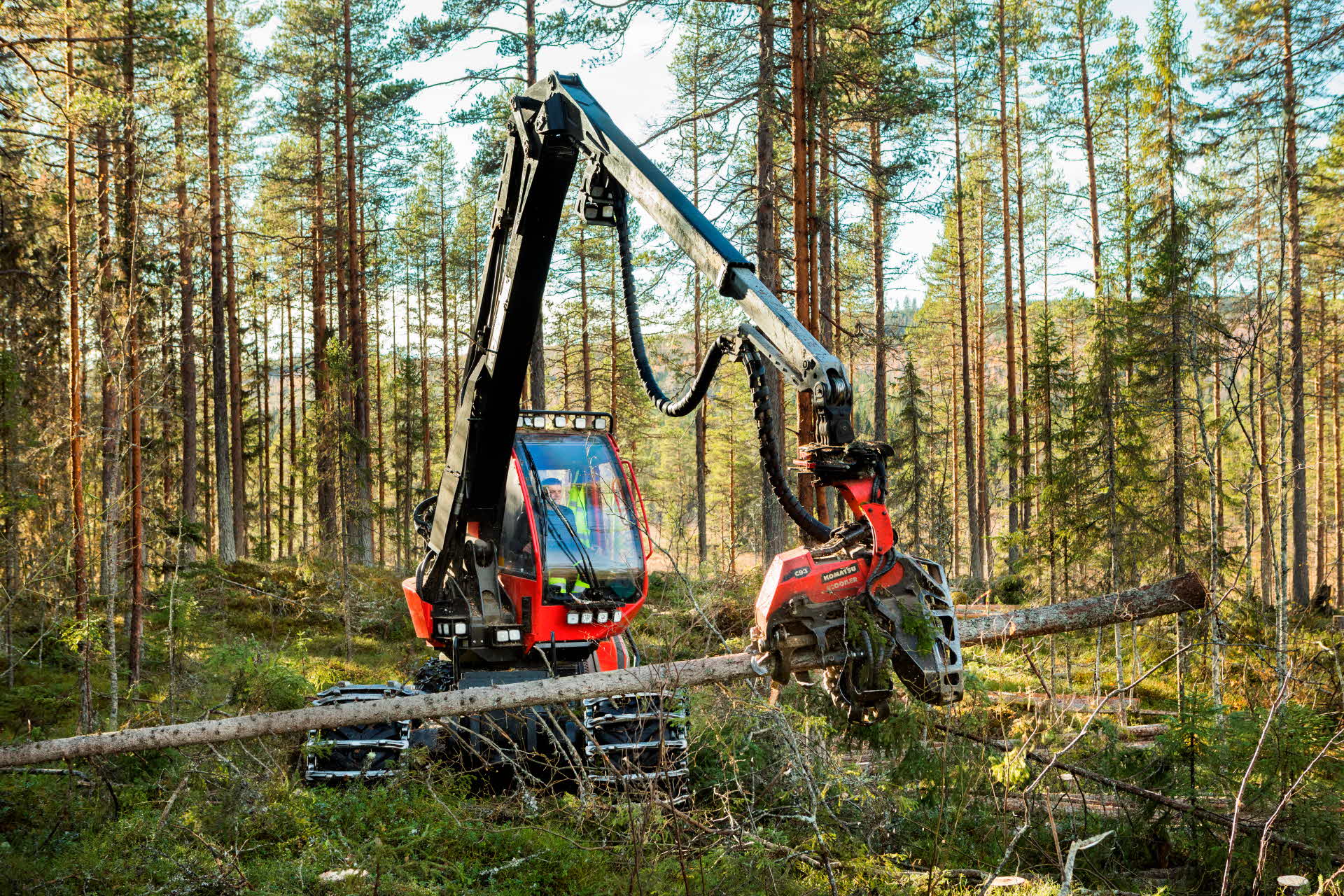 Arbete med gallringsskördare.