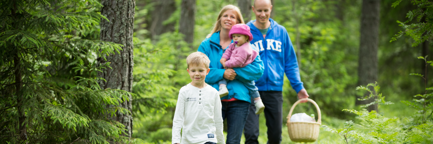 Familj i skogen på picknick går på skogsstigFamily on a picnic in the forest walking on a forest trail