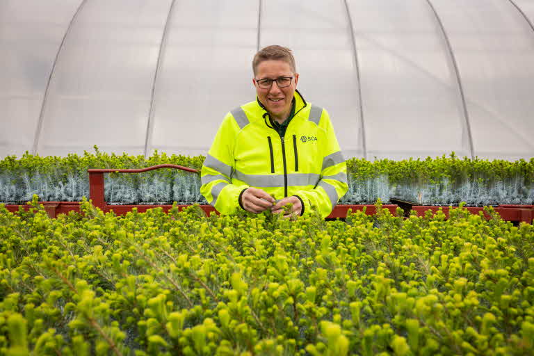 Thomas Vestman på NorrPlant