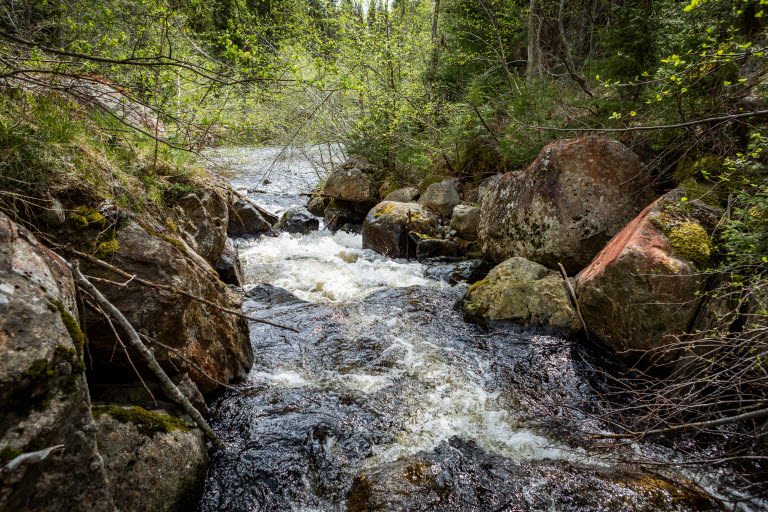 the stream Hornsjöbäcken