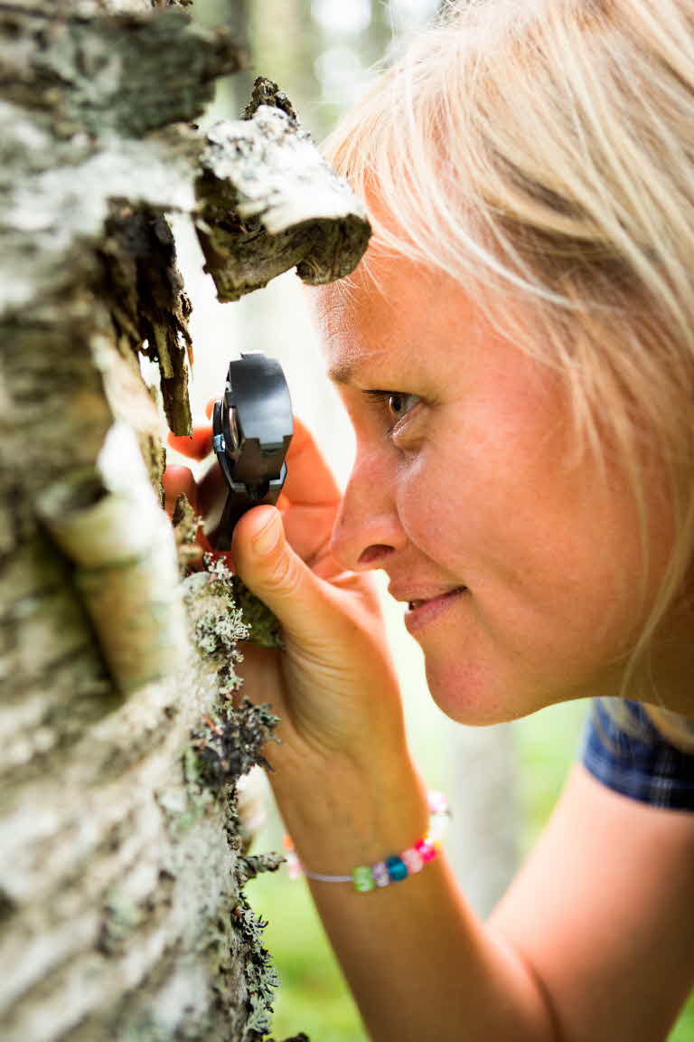 Looking at a tree