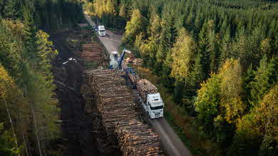 Timber truck with logs
