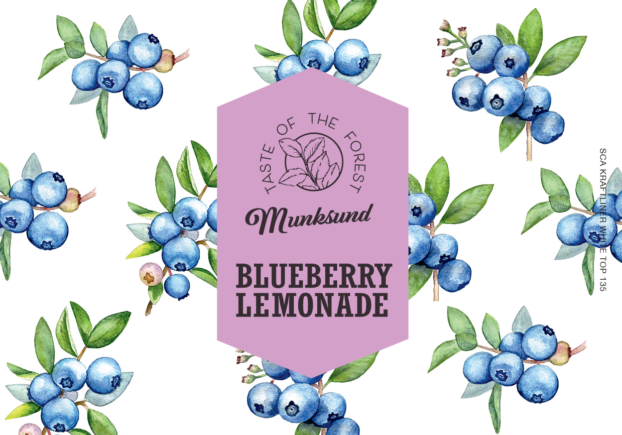 blueberries in water color