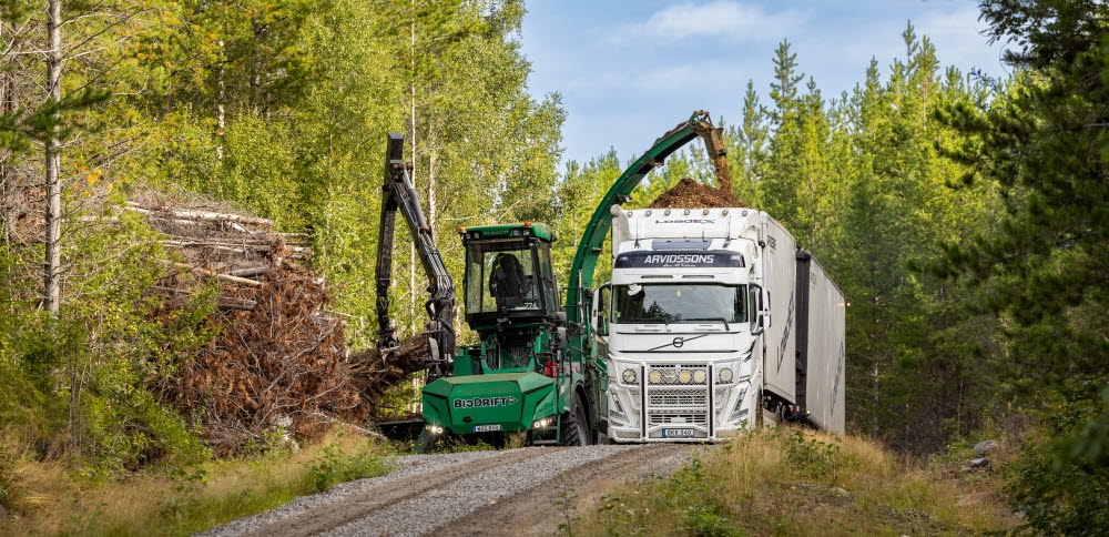 Branches harvested after logging