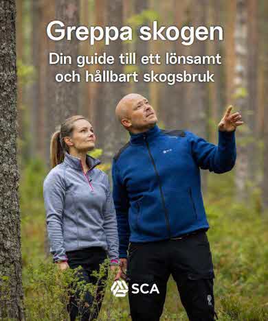 Greppa skogen