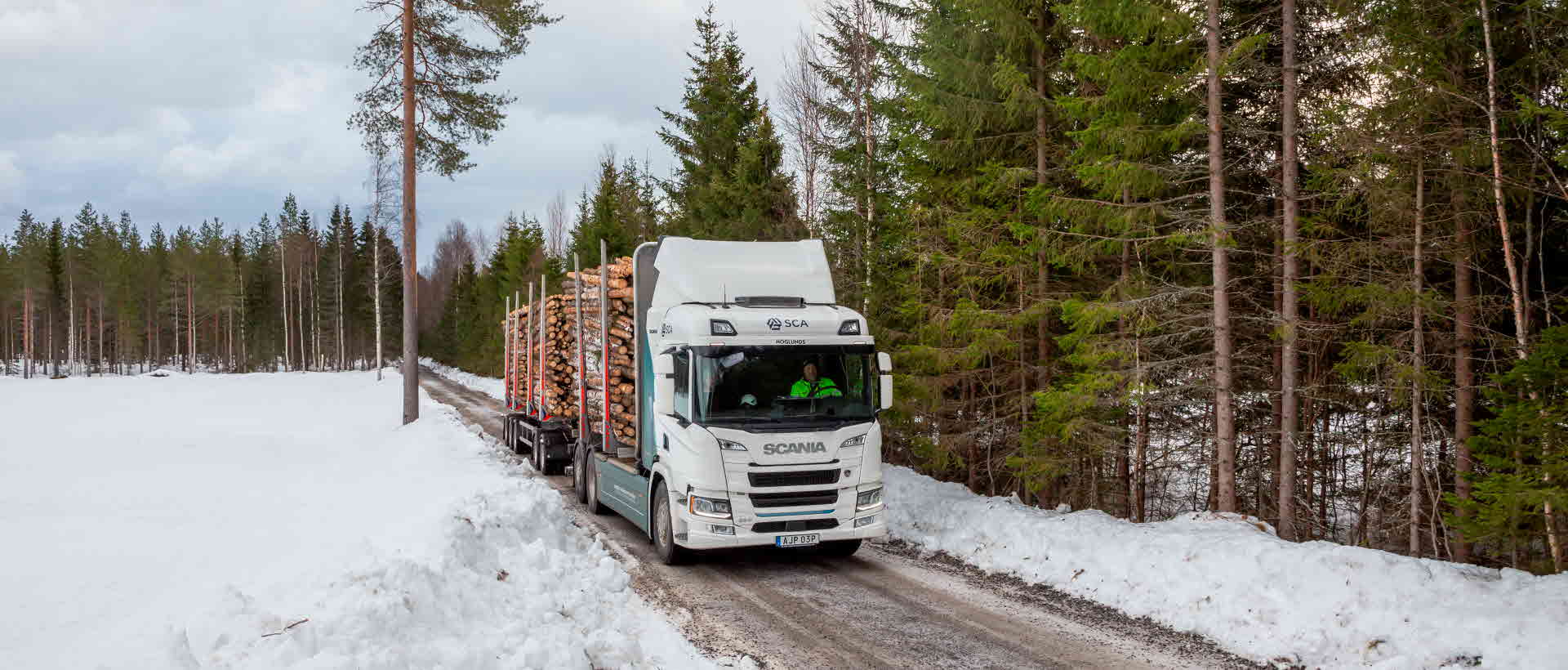 Electric timber truck in the forest