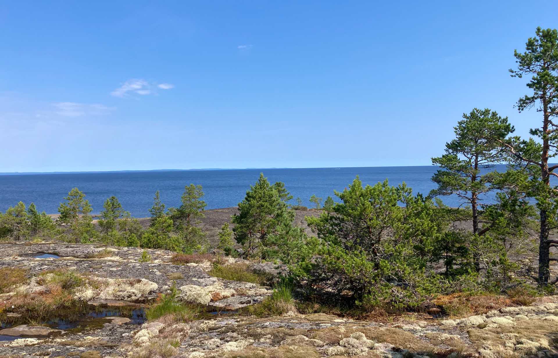 Utsikt över havet i Njurundakusten