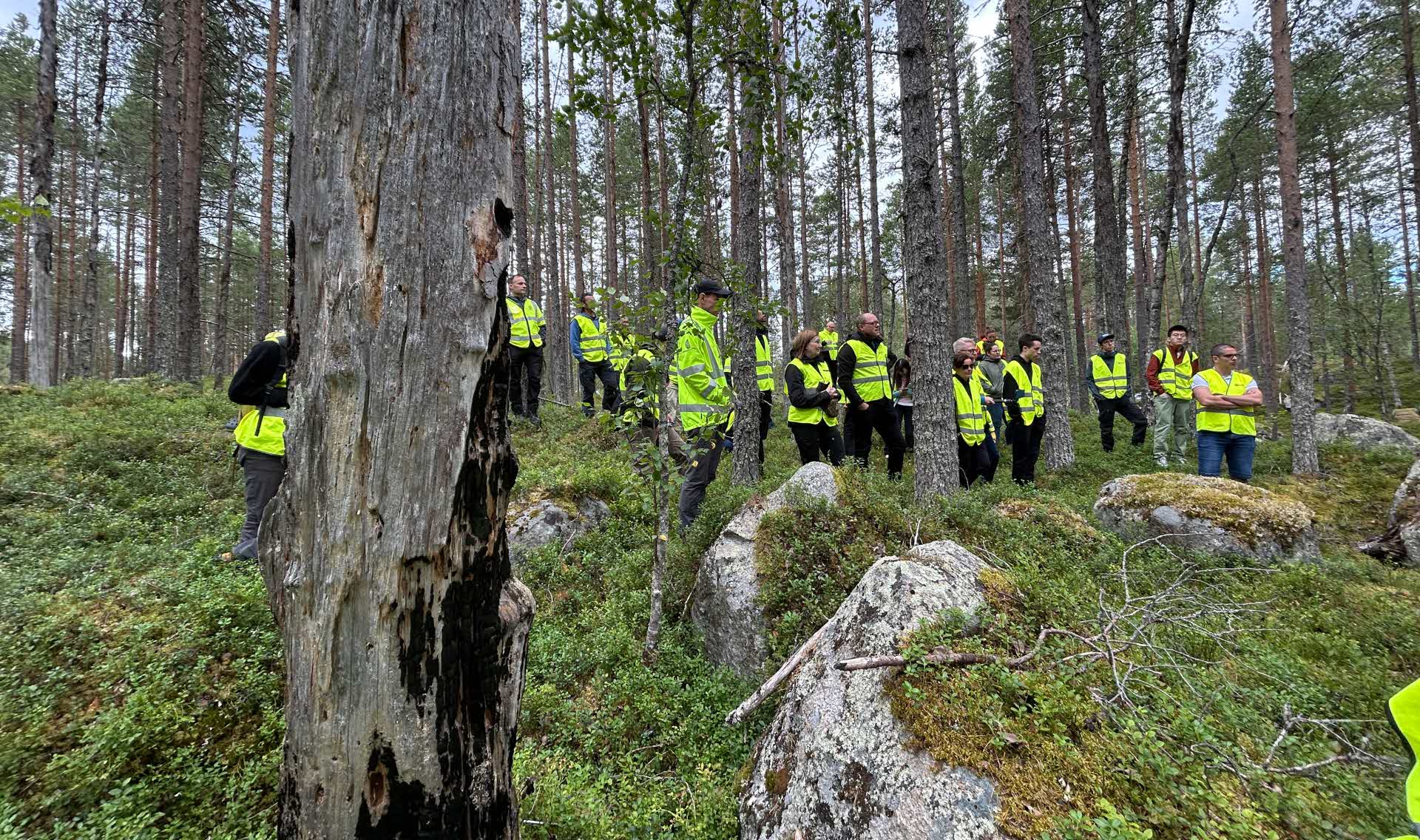 Skogsutflykt med naturvård