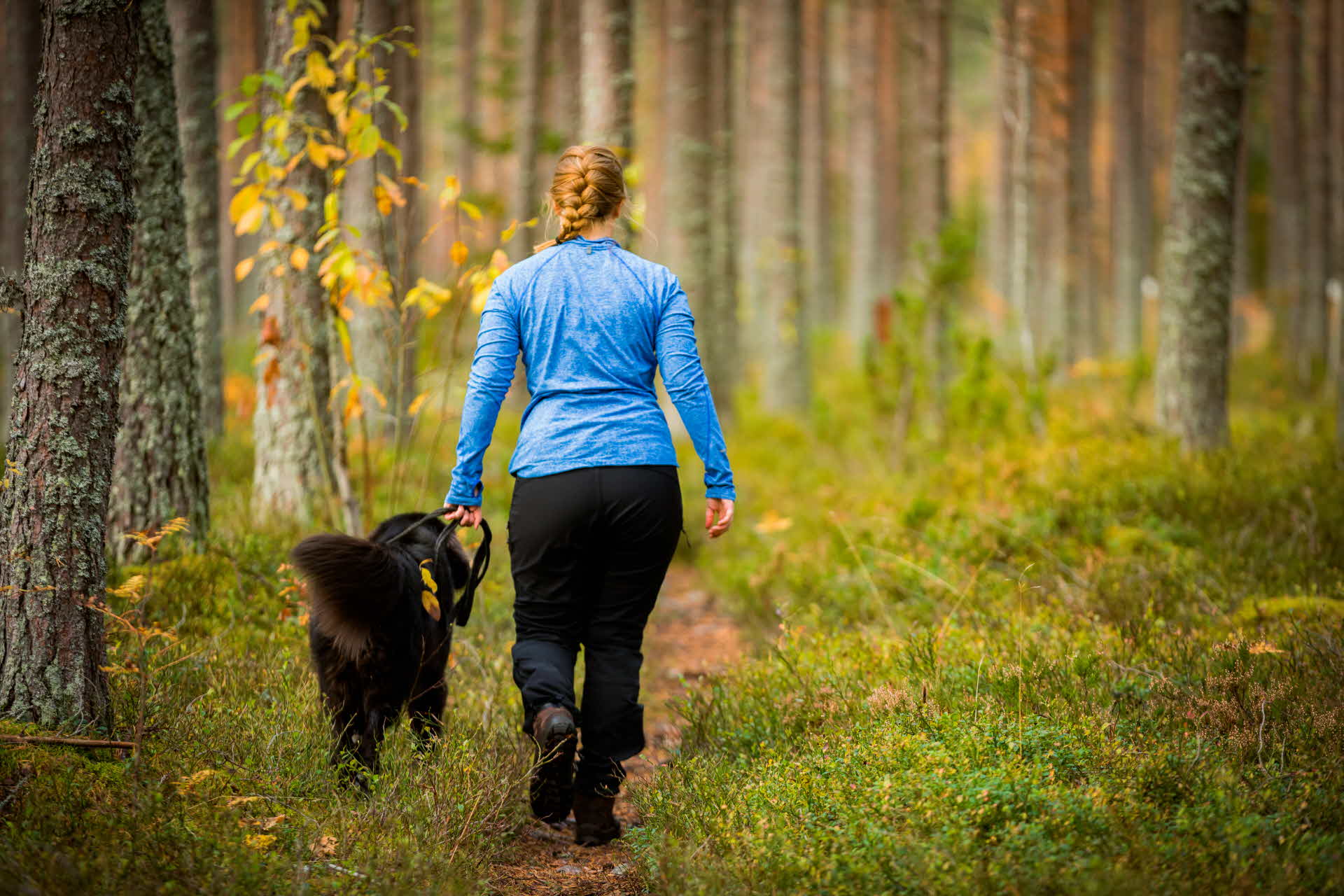 En kvinna är ute på promenad i skogen med en hund.