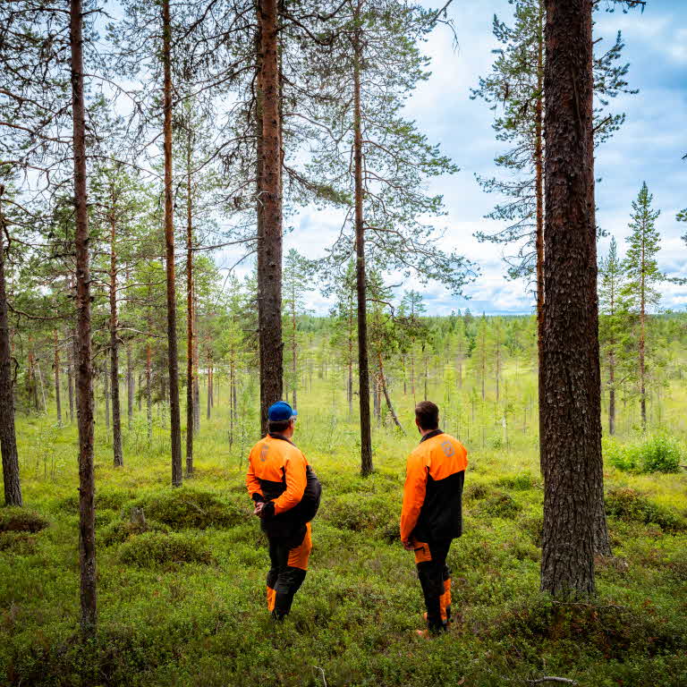 Far och son blickar ut över skogen.