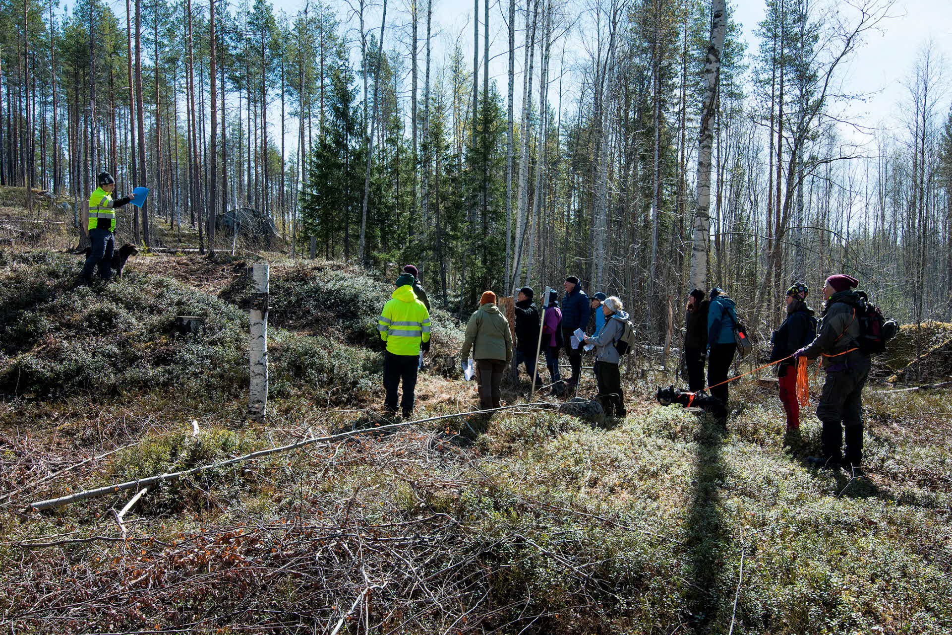 SCA mångfaldspark Tjäderberget