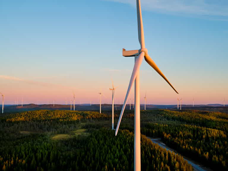 Ett antal vindsnurror i skogsmiljö, en väg och himmel