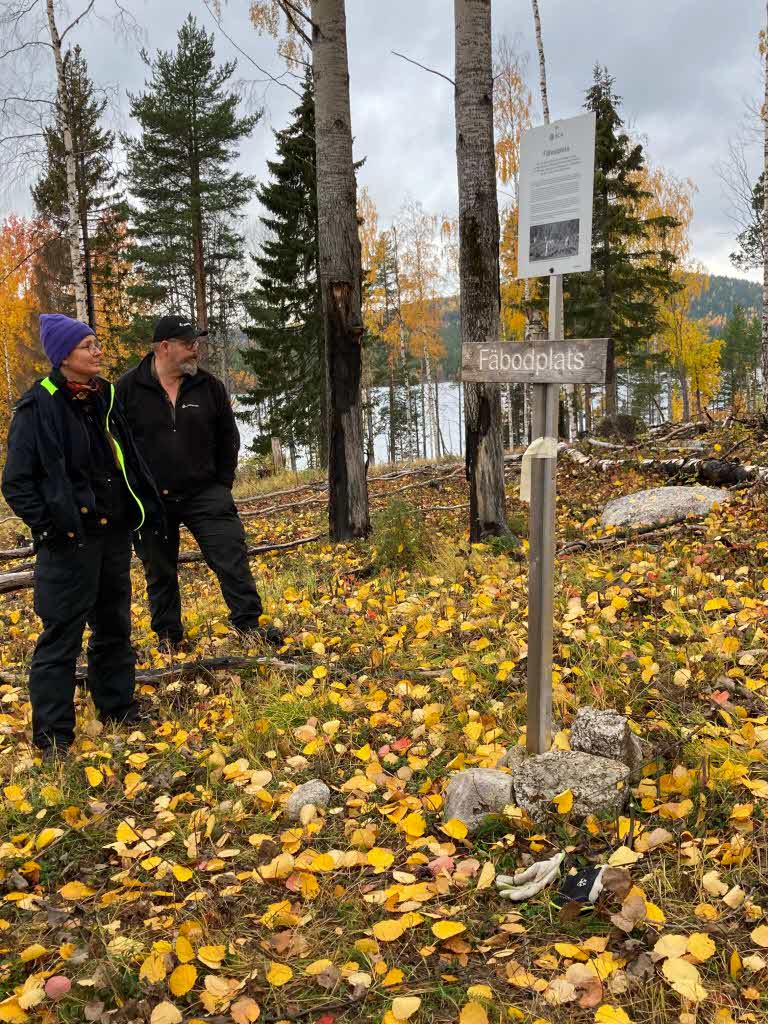 Tjäderbergets mångfaldspark