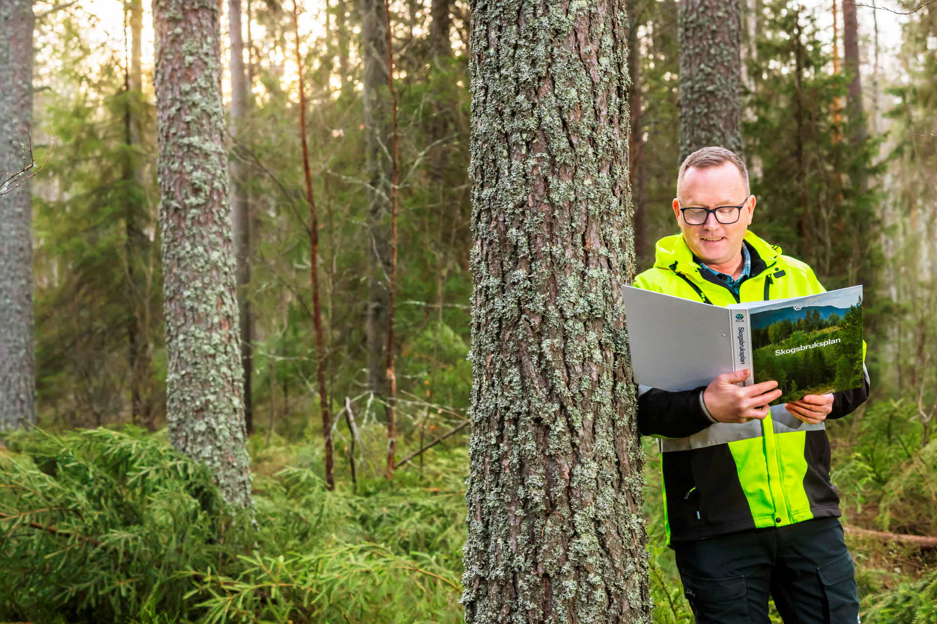 Virkesköpare Lars Pettersson i skogen