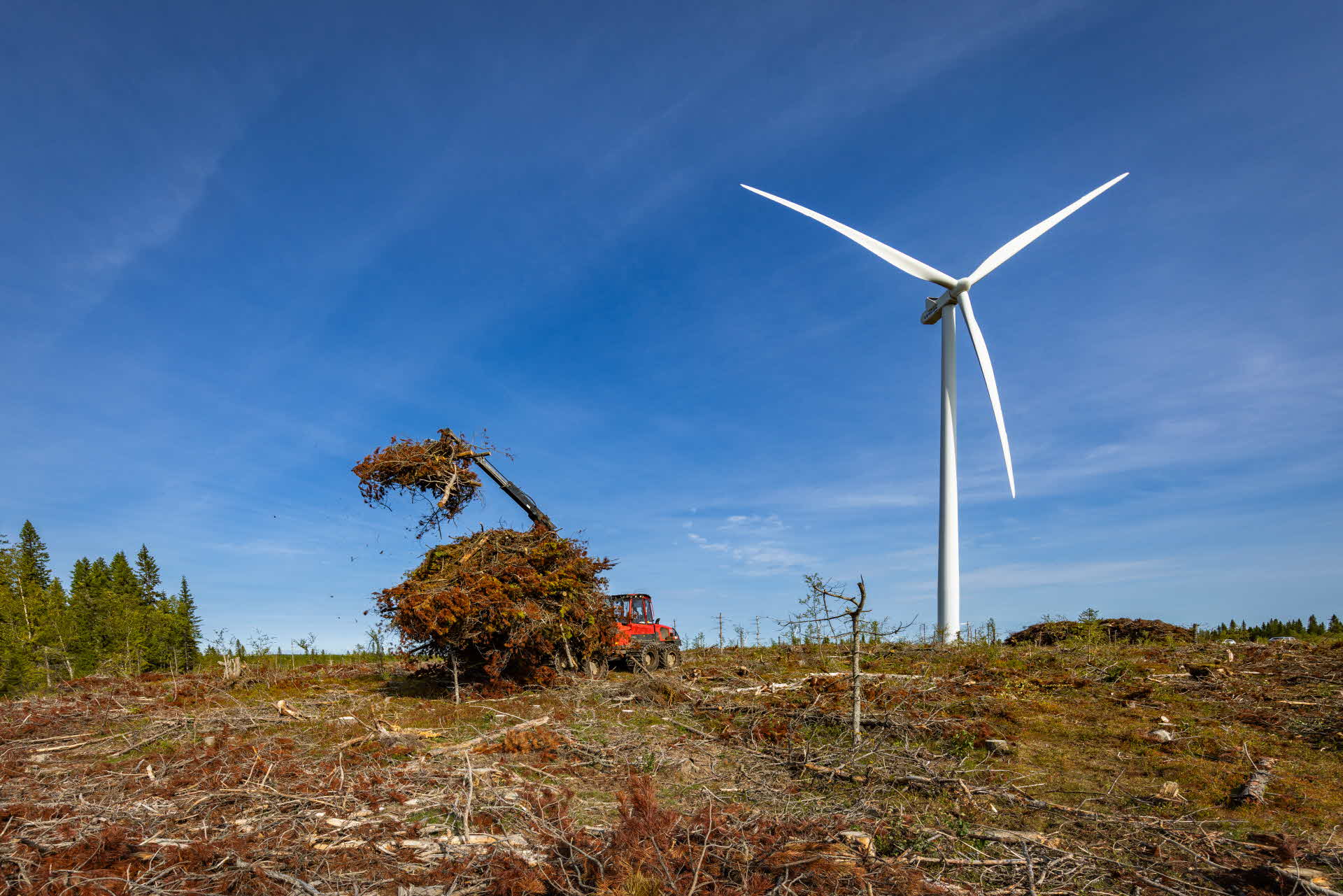 Biofuels and windpower