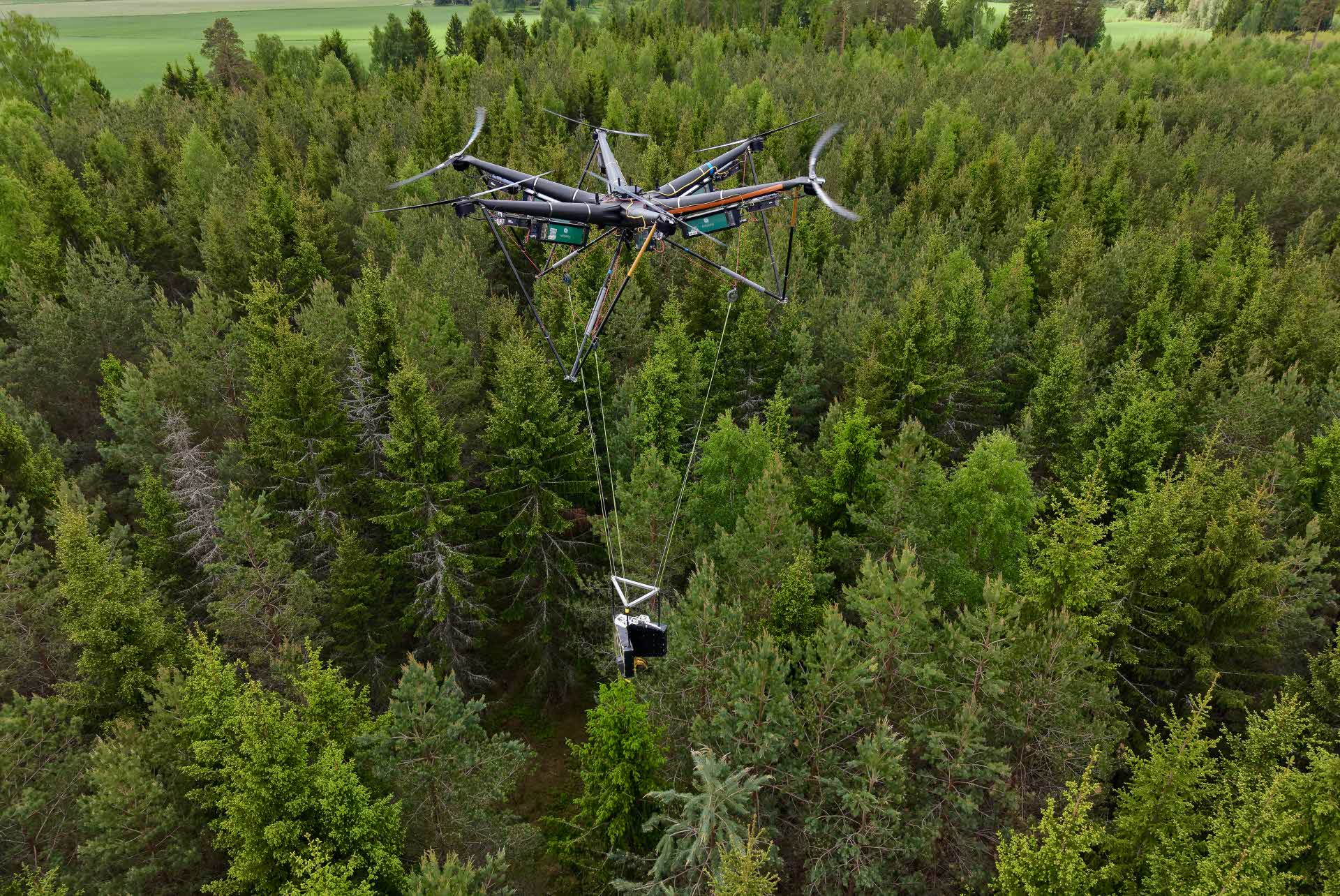 drönare avverkar träd