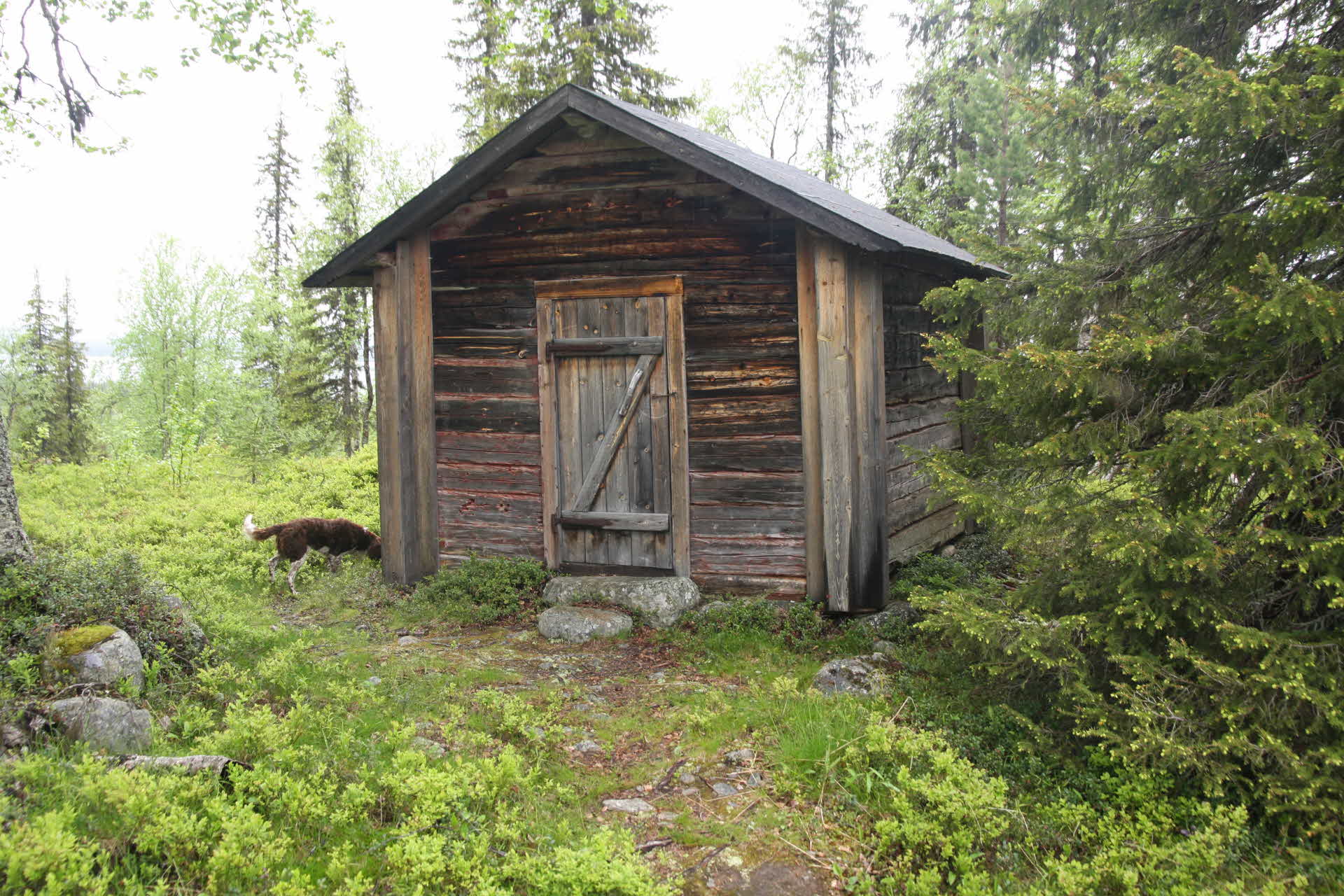 Timrad turiststuga från 1860-talet i Nietsak- Peltovaara