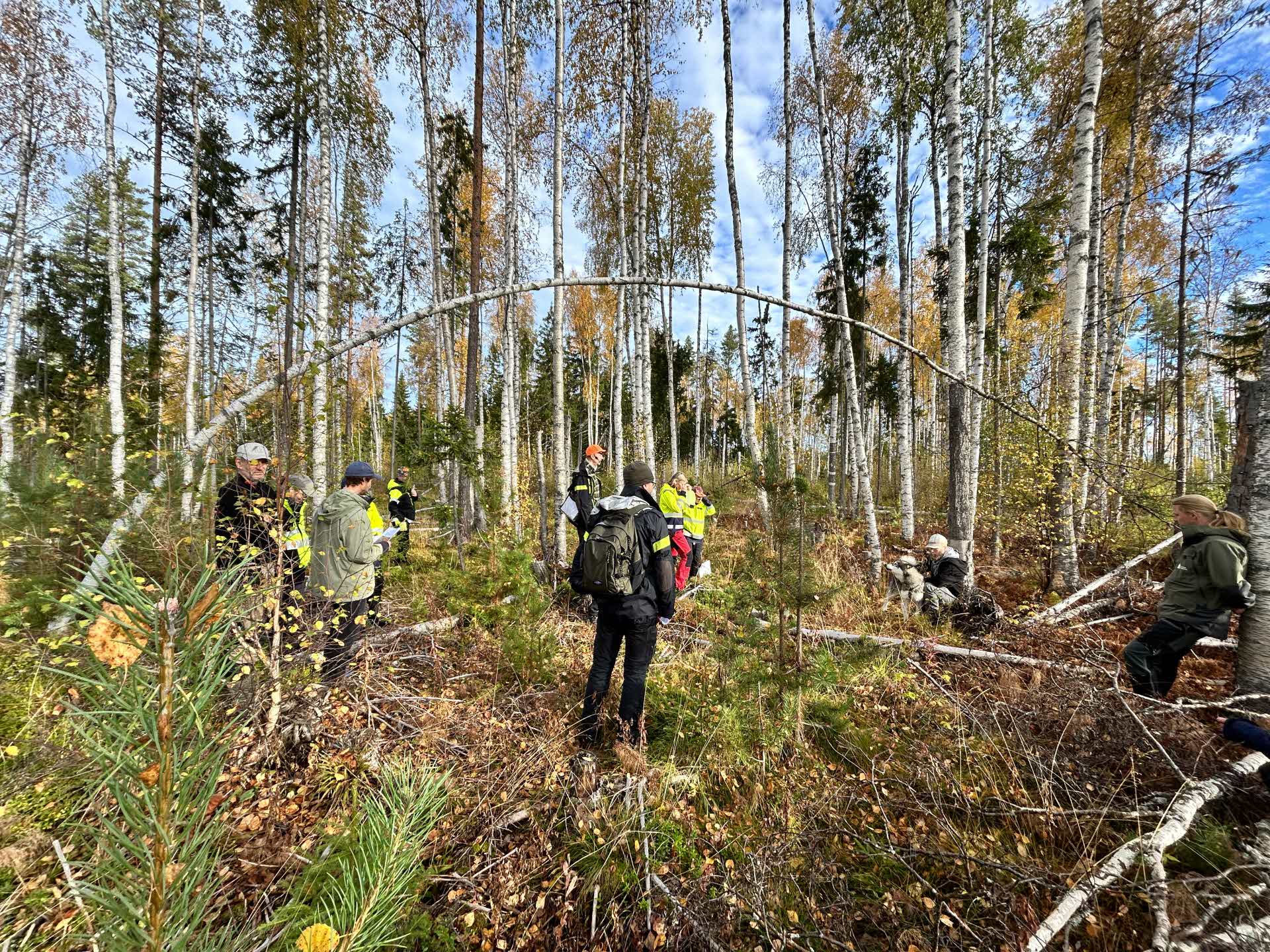 An area with a rick broadleaf forest