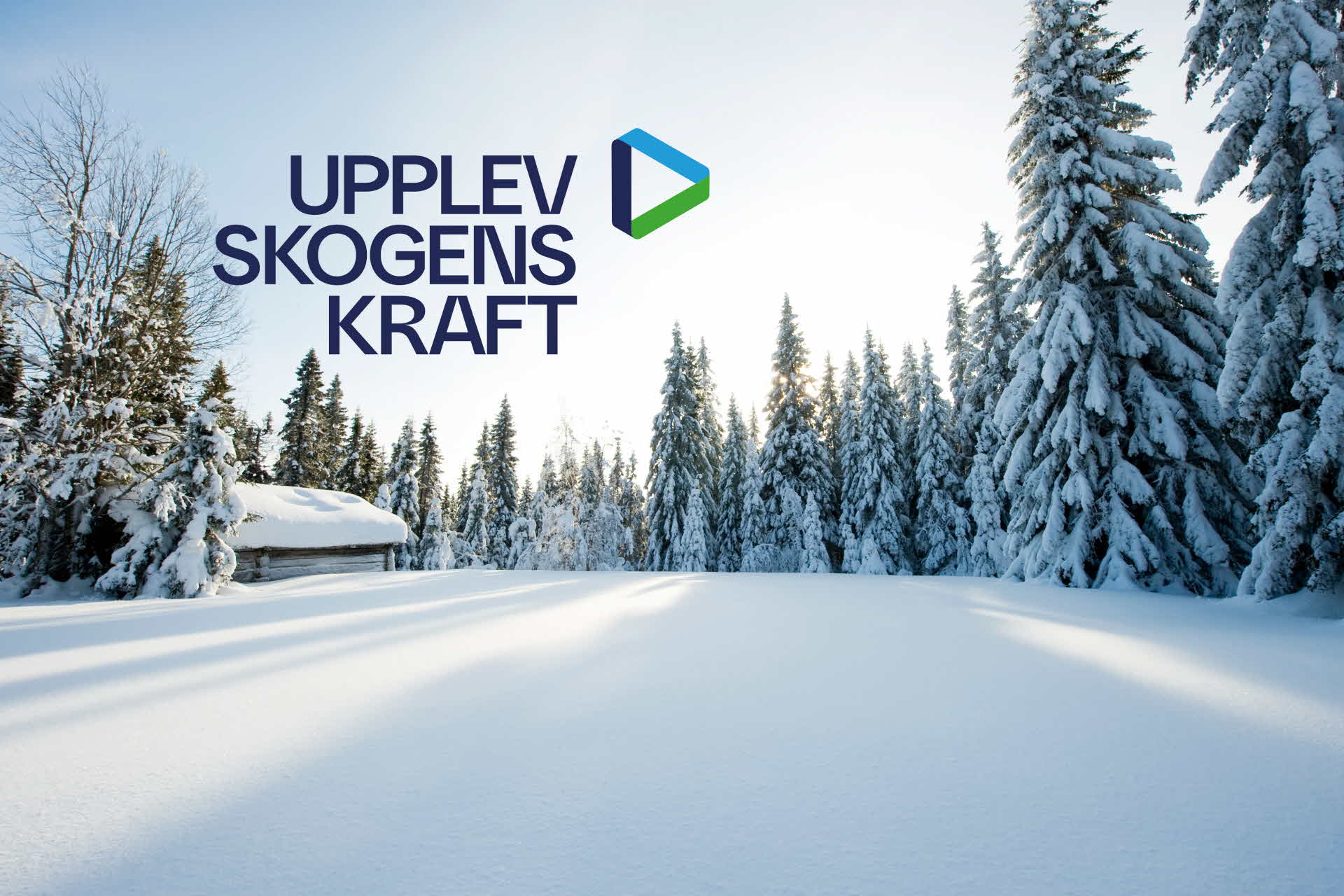 Snötäckt vinterskog och stuga