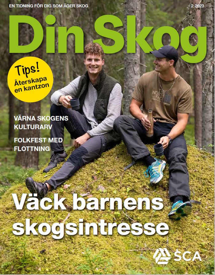 Don skog nummer 2 2023
