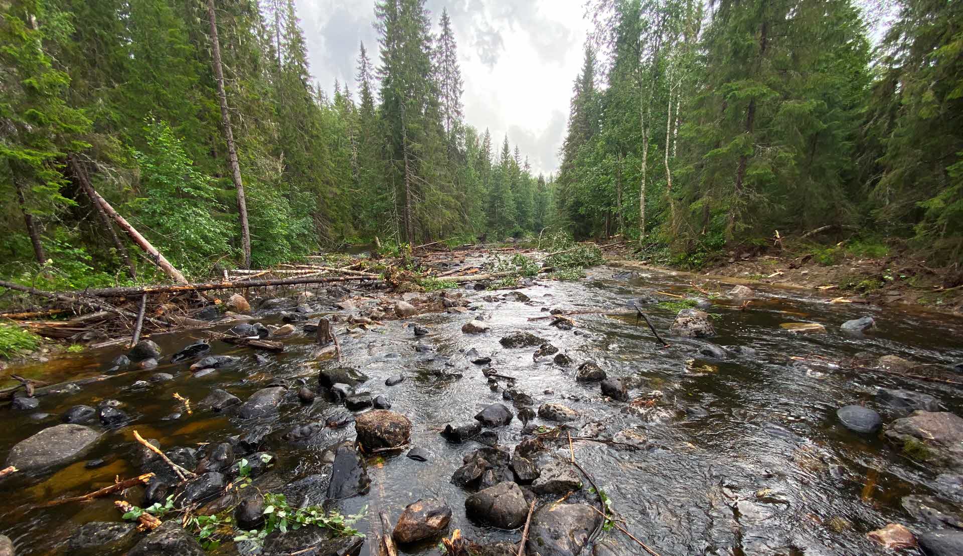 björkån river