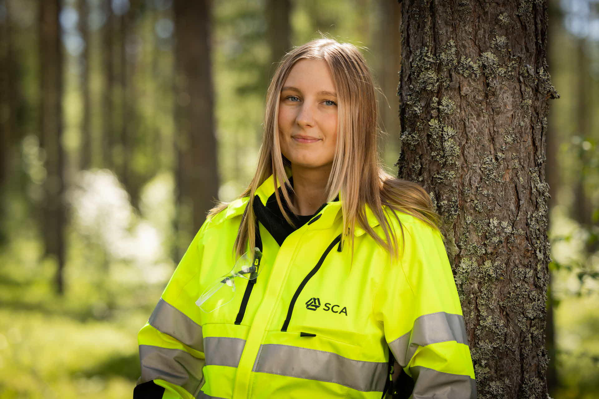 Virkesköpare i skogen