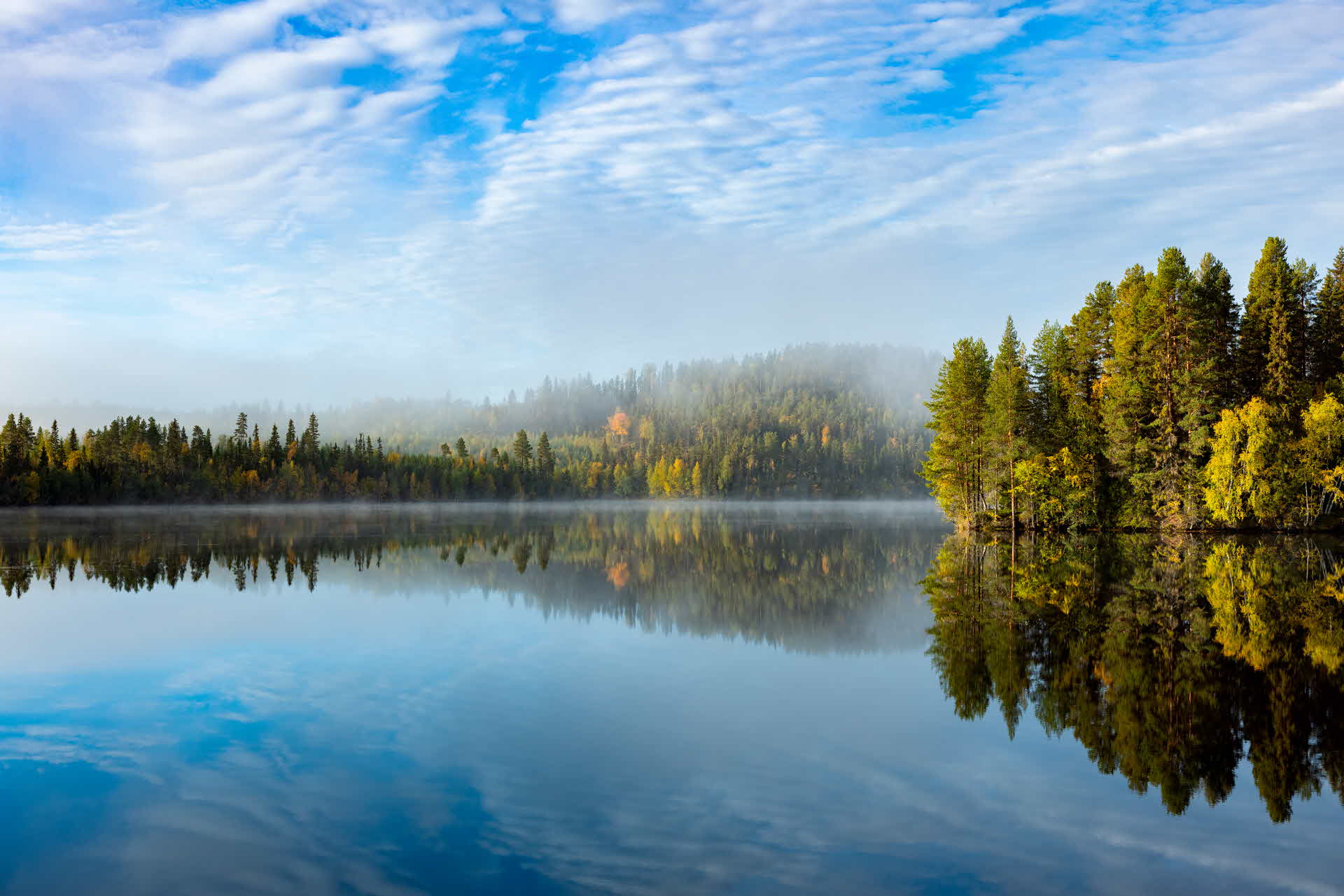 A lake surrounded by forest.