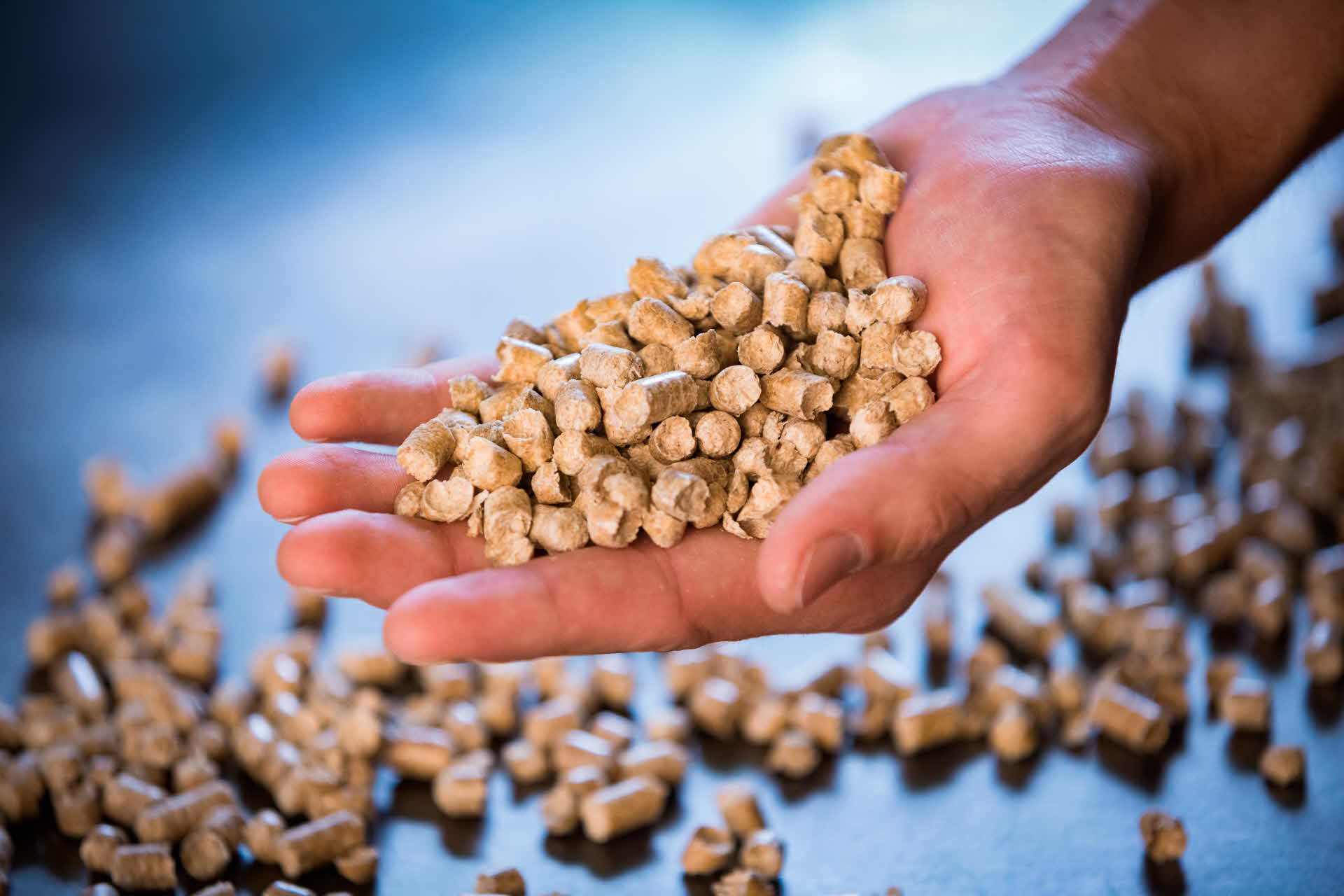 Bilden visar en hand som håller i pellets