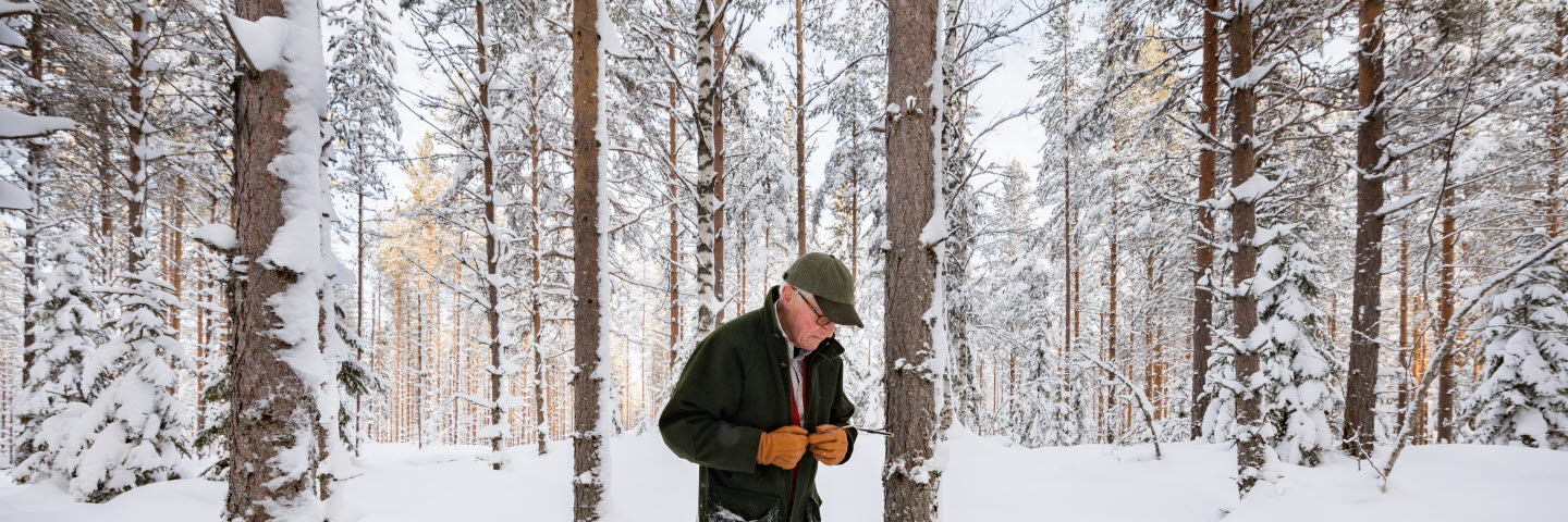 Johan Ekman skogsägare som gödslade sin skog