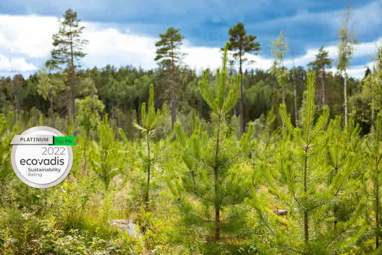 SCA awarded EcoVadis' top sustainability accolade SCA