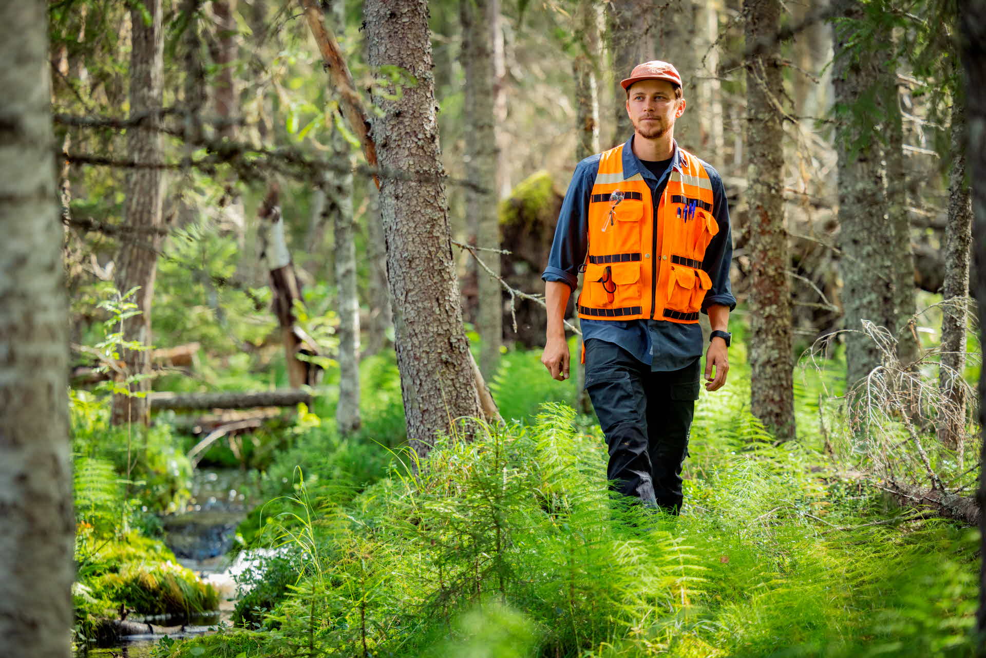 En person som promenerar i skogen.