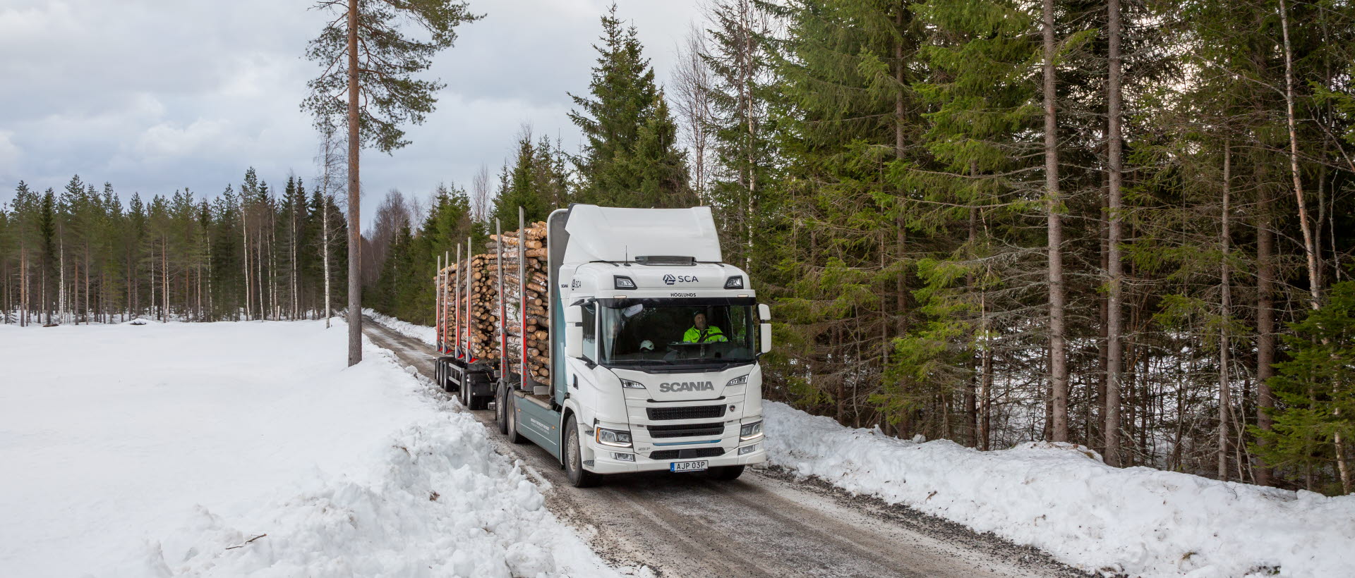 Electric timber truck in the forest