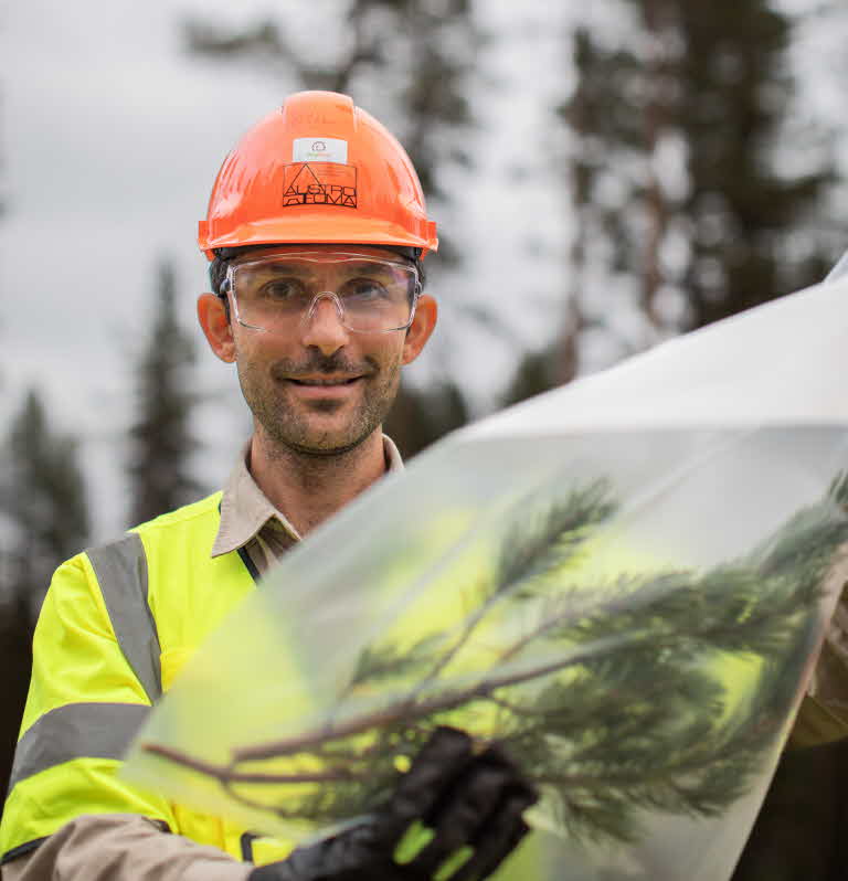 Forskare från Skogforsk