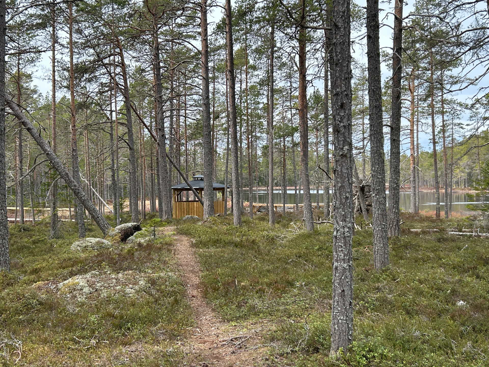 Vindskyddet vid Kusttjärnen