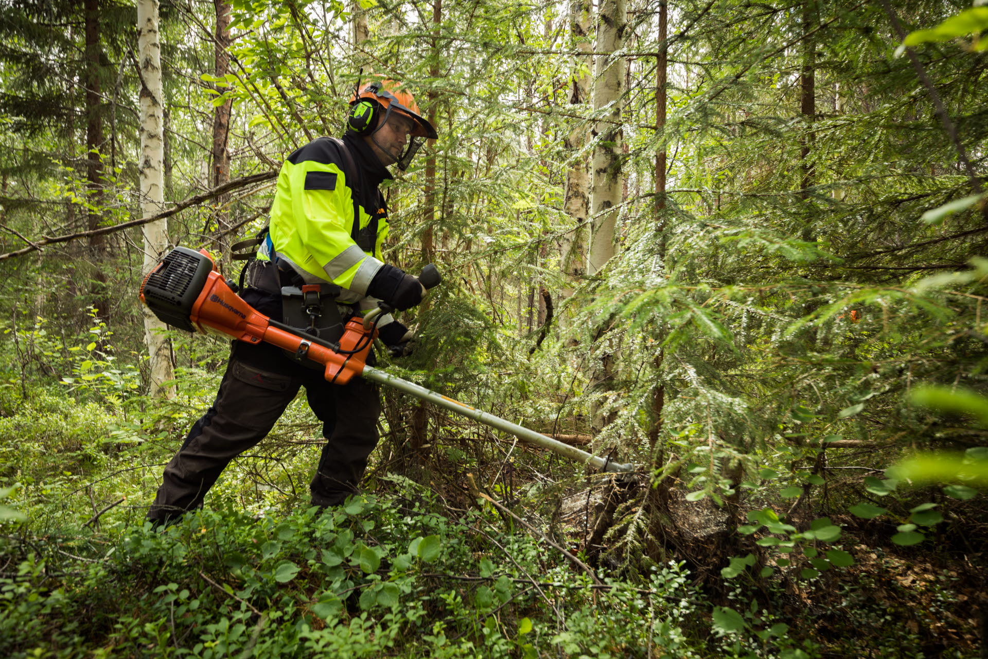 En medarbetare röjer i skogen med hjälp av en röjsåg.