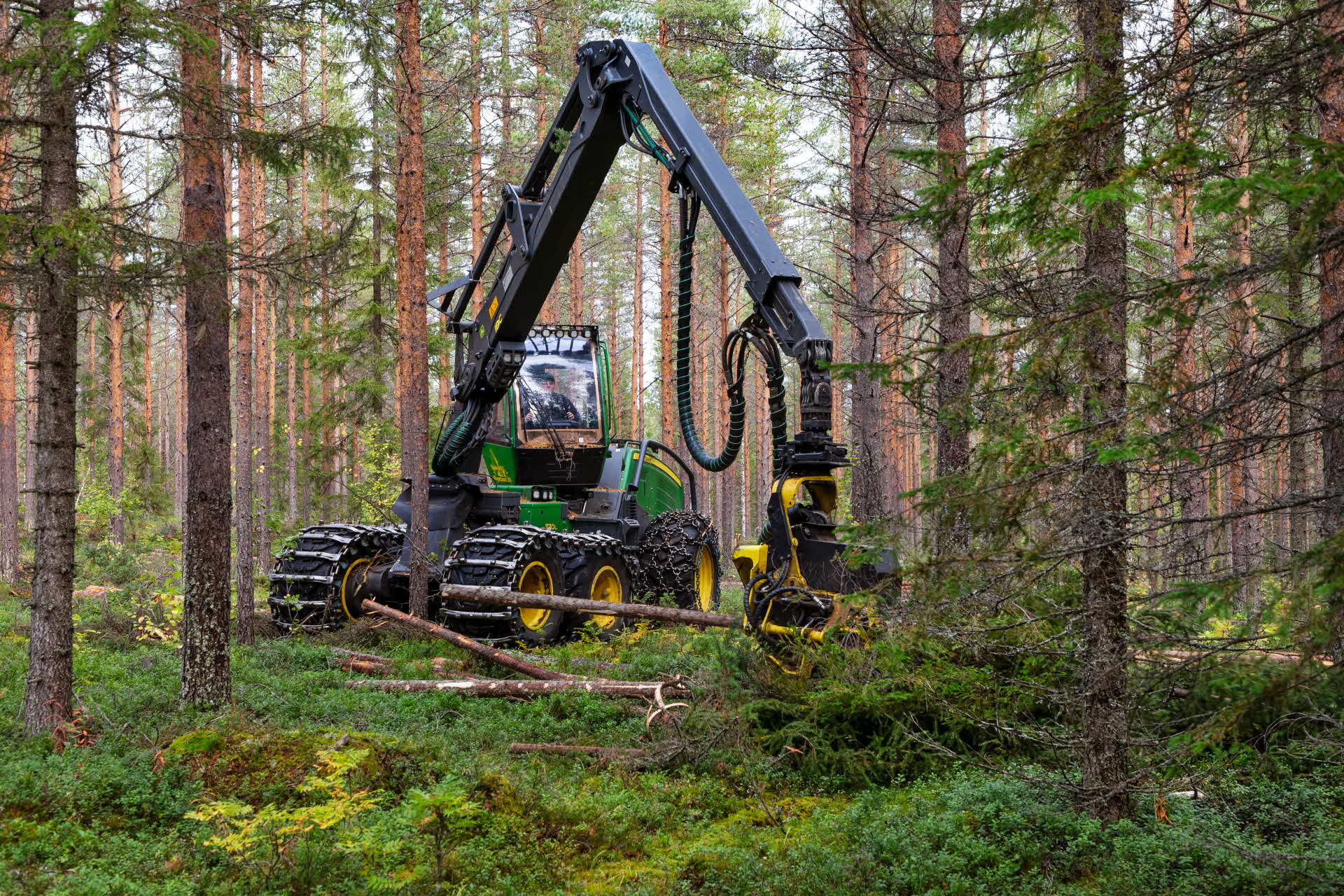 a harvester in thinning