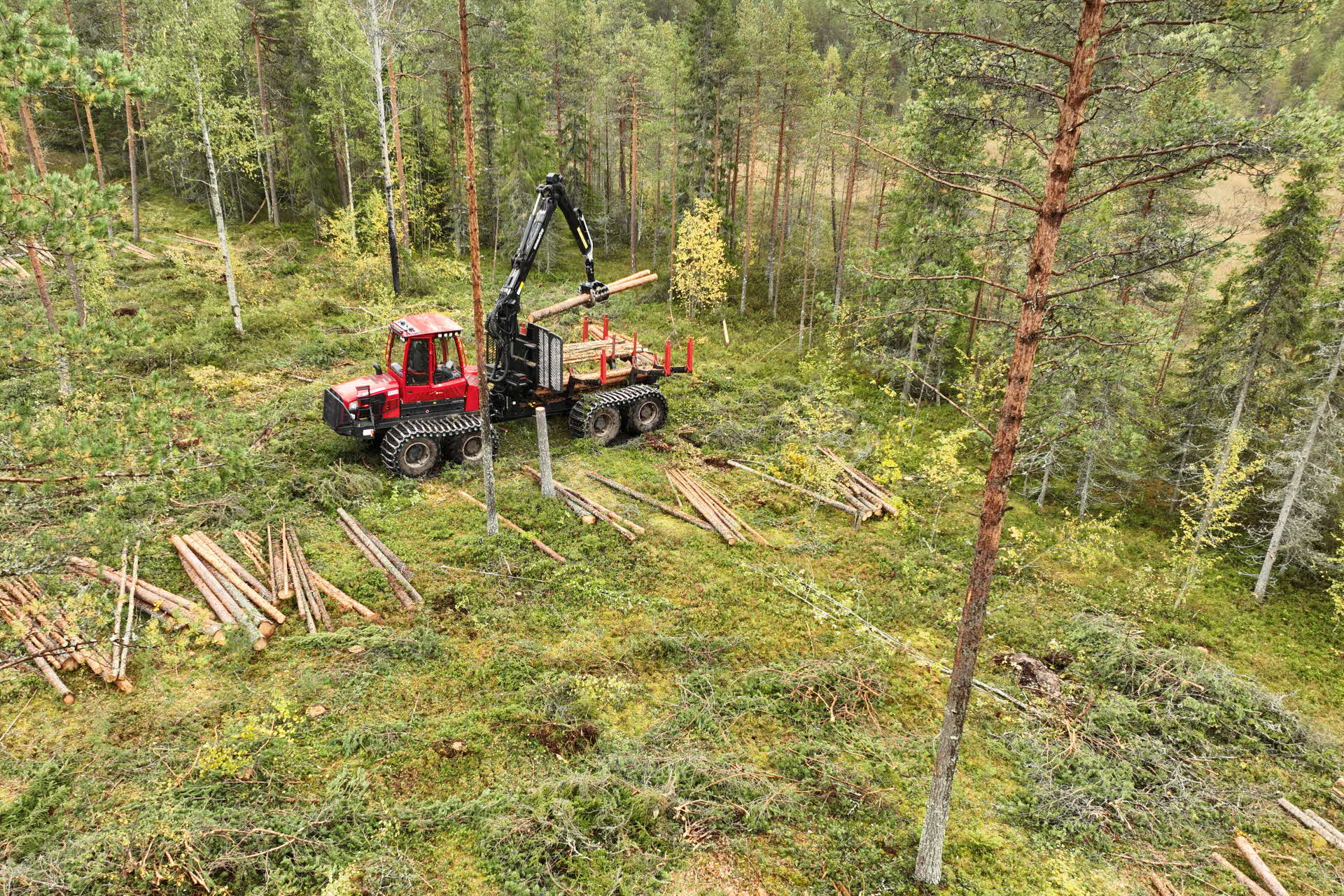 bransches left in the road where the forest maschines drives