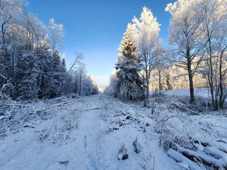 Jämtkrogens fjärilslandskap