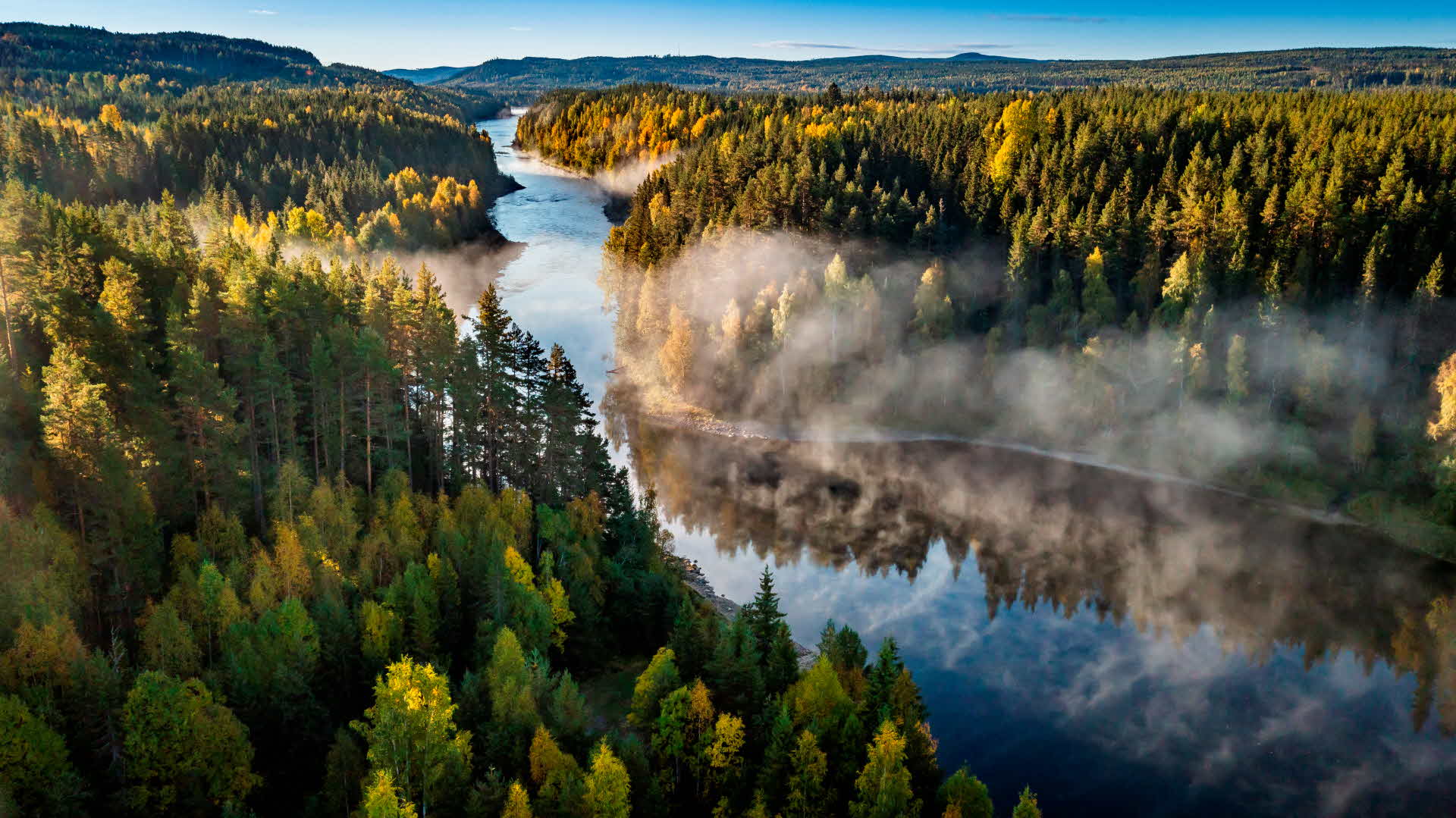 Skogsvy med vatten, höst.