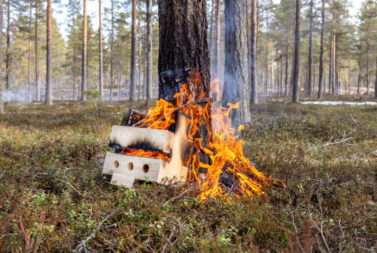 bärbrasan