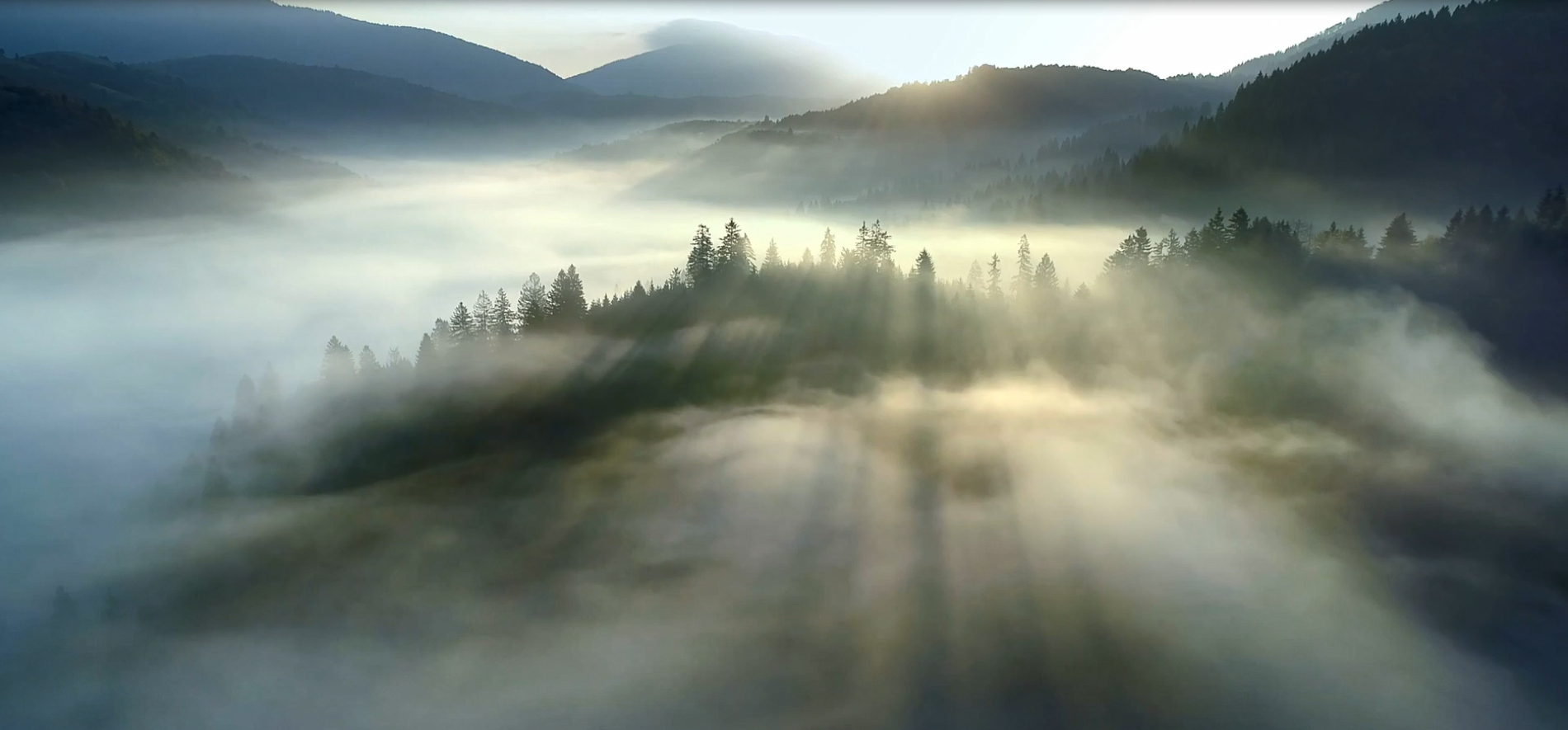 Fog over forest and a play button