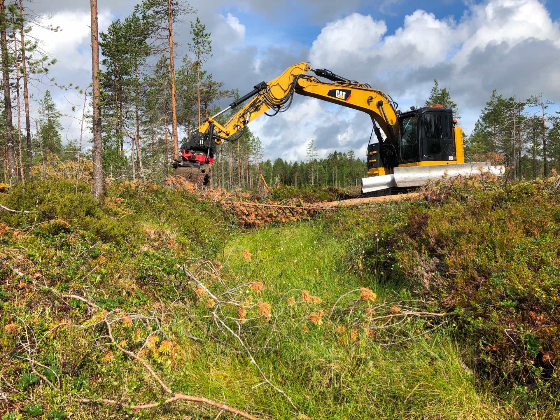 Våtmarksrestaurering