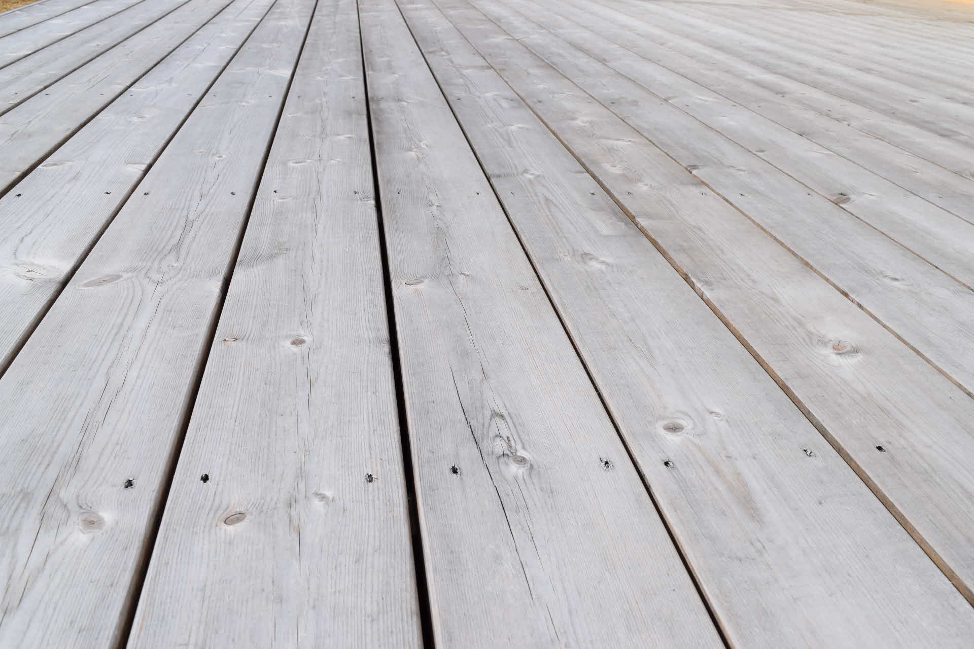 Närbild på en trall.