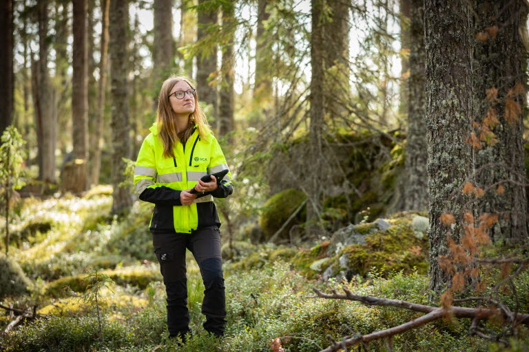 Employee in the forest