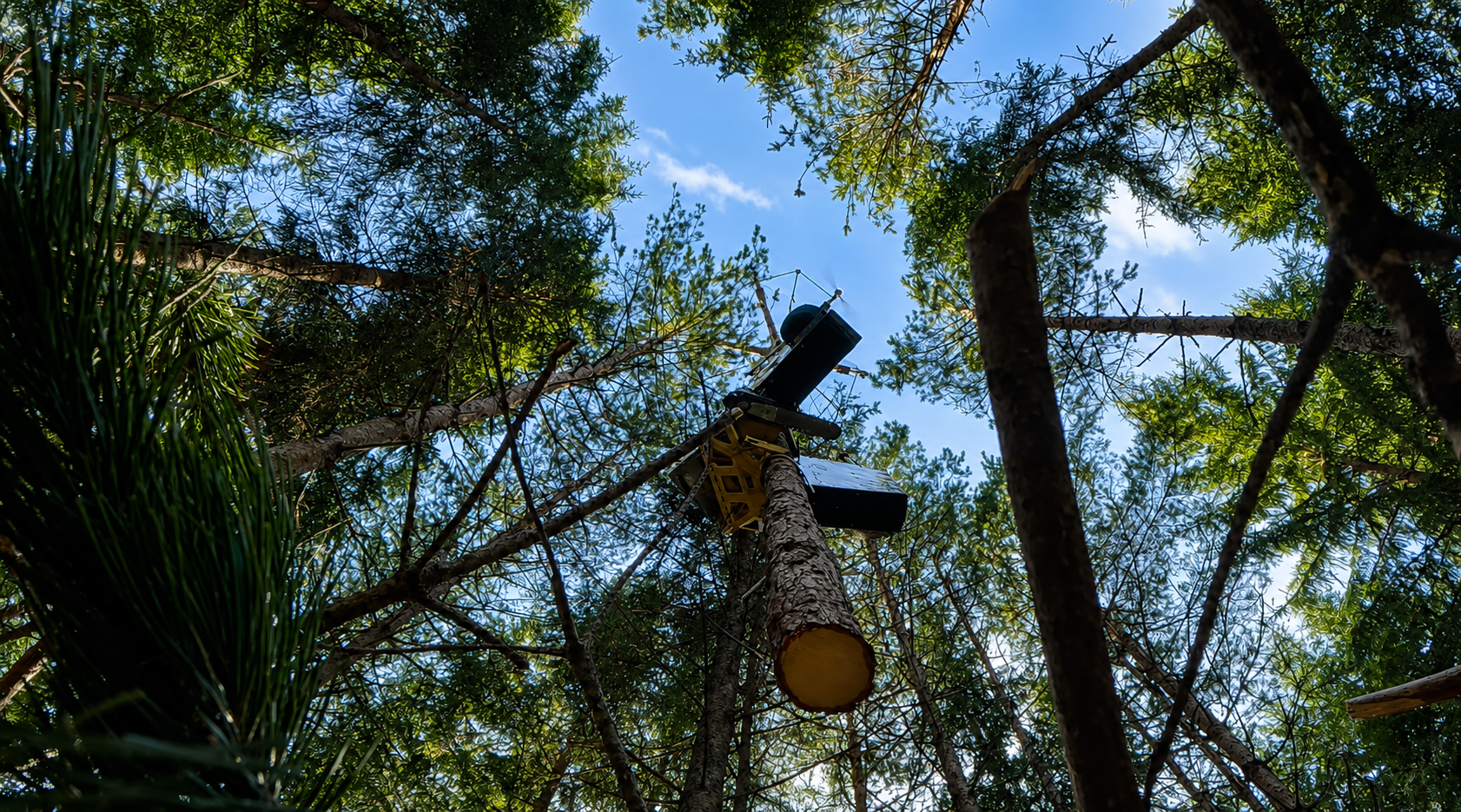 drone harvesting a tree