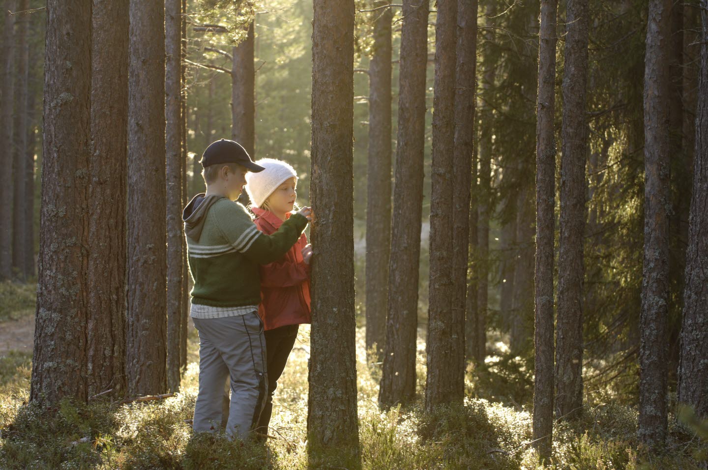 Pojke och flicka vid trädstam i skogen. Boy and girl standing by tree in the forest