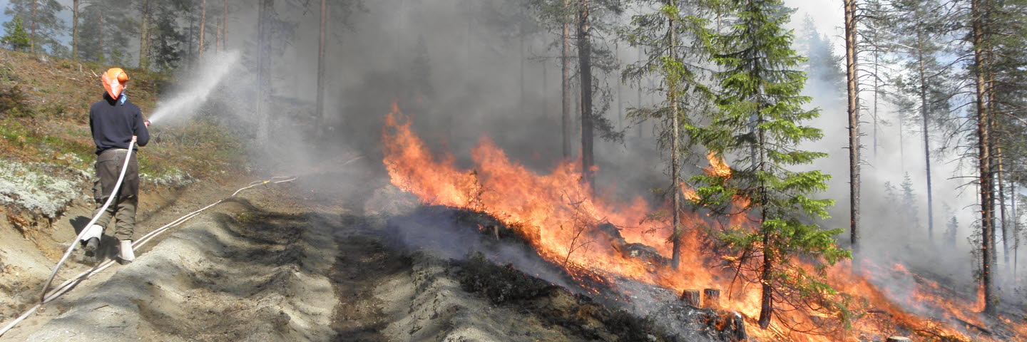 Skogsvårdsbränning. Naturvårdsbränning.