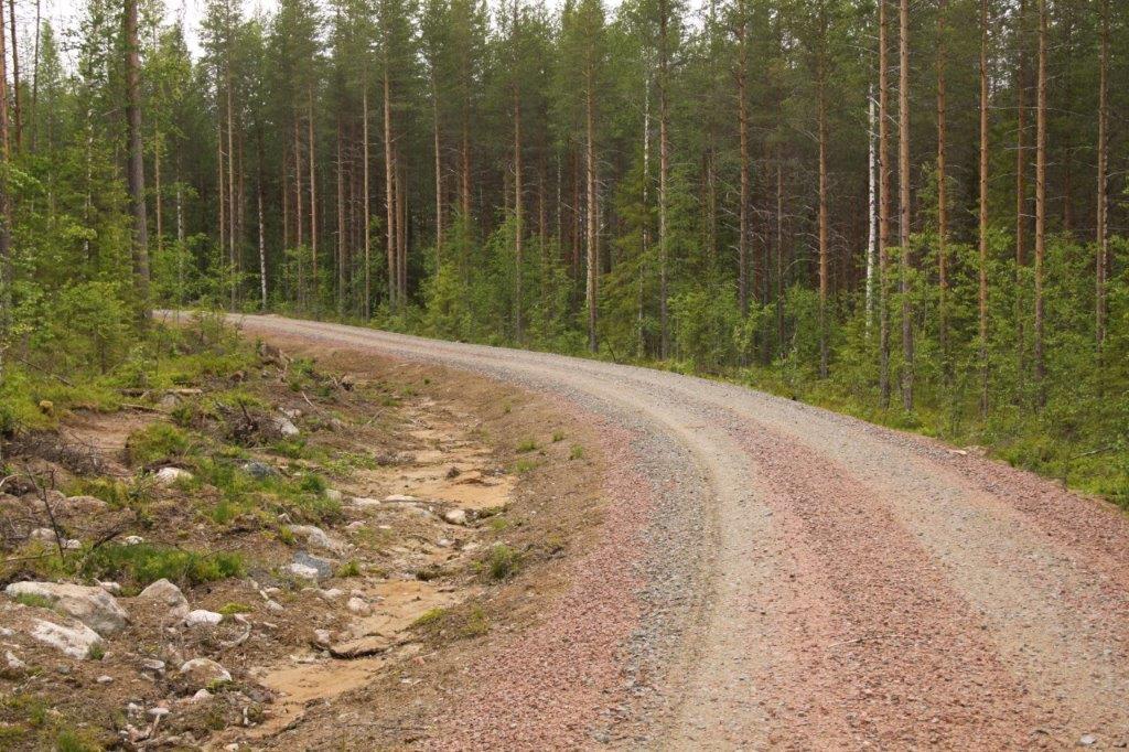 Our forest roads
