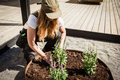 A woman is planting flowers in a large pot in front of the decking.