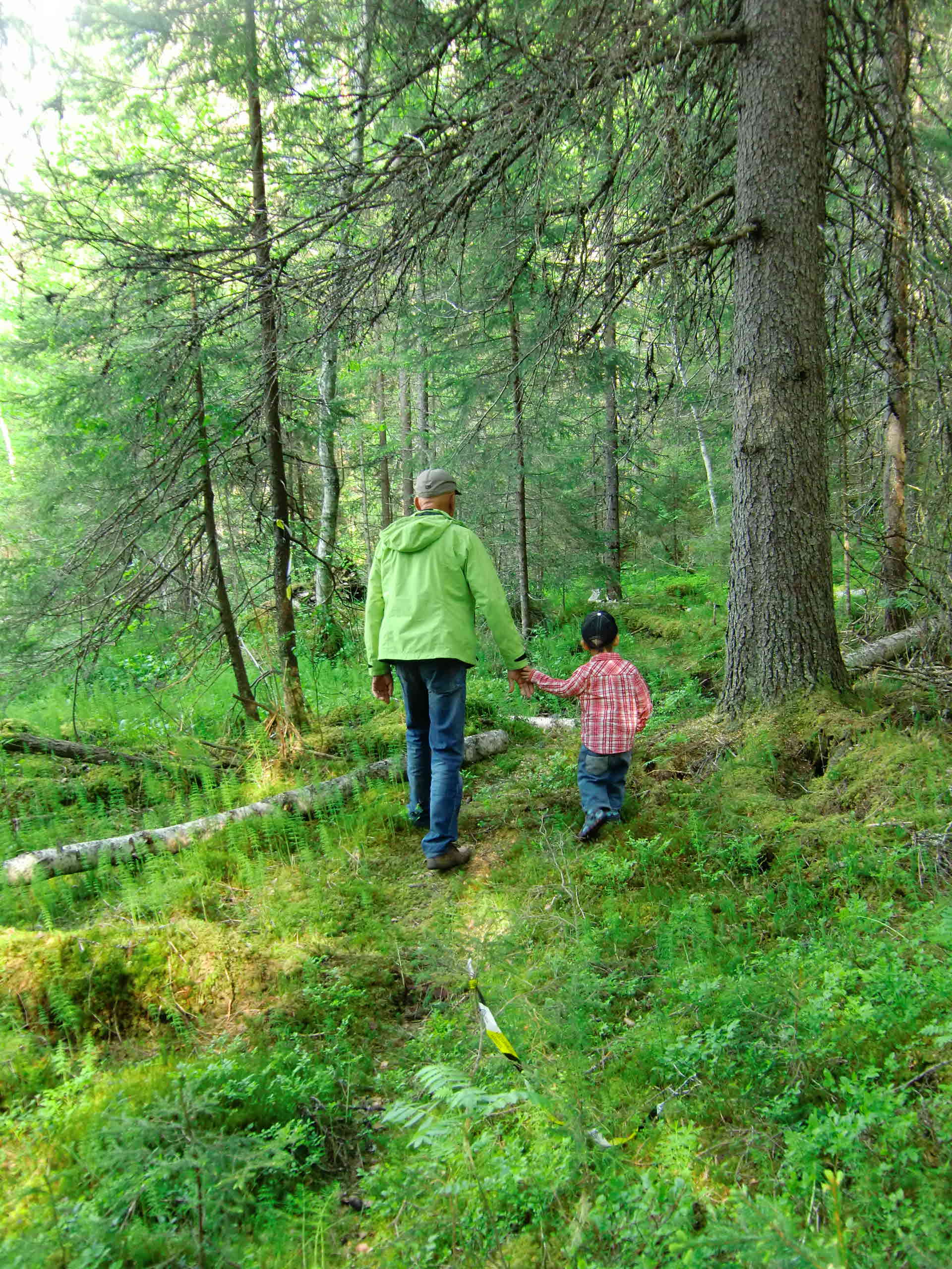 Ett barn och en vuxen går hand i hand på en stig.
